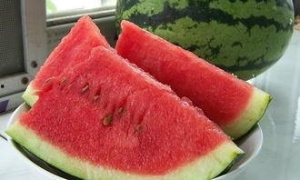 开生面吃瓜大赛,一场舌尖上的狂欢盛宴