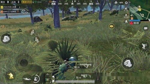 直播雨林吃瓜,揭秘热带雨林中的神秘“吃瓜”之旅