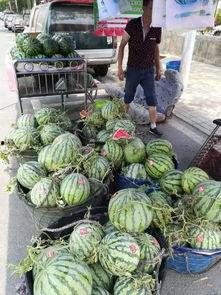 荆门最新吃瓜事件,揭秘背后真相，网络热议引关注