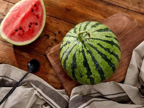 吃瓜上海major,一场电竞盛宴的狂欢与激情