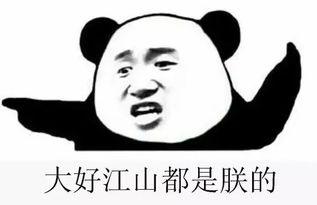 我吃瓜怎么写,我吃瓜背后的故事与真相