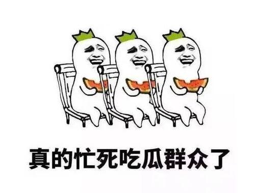 我吃瓜怎么写,我吃瓜背后的故事与真相