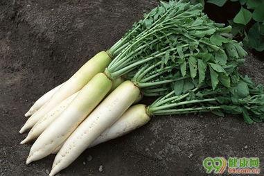 萝卜有瓜吃,揭秘农业丰收背后的秘密