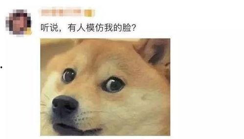 狗头草吃瓜视频