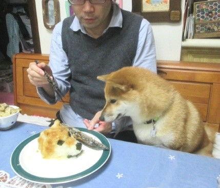 狗头草吃瓜视频