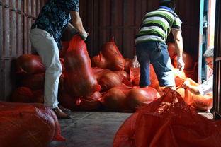 超级吃瓜小超人