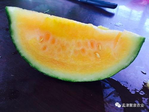 七彩吃瓜,揭秘瓜界奇闻异事