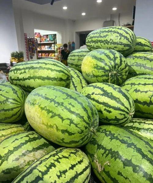 全国吃漳州的瓜,全国共赏闽南风味