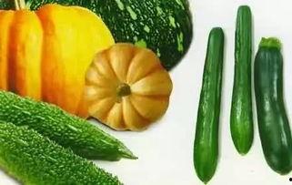 吃瓜才人,见证时代变迁的人生缩影