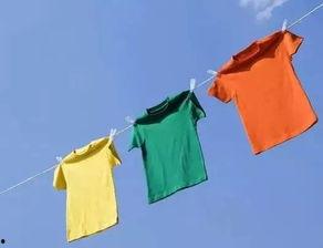 吃瓜晾衣服,吃瓜晾衣，享受生活小确幸