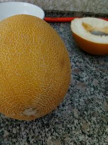 交院的吃瓜,揭秘校园里的那些“吃瓜”趣事