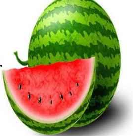 吃凤瓜会胖吗,吃凤瓜真的会让人发胖吗？揭秘凤瓜热量与减肥真相