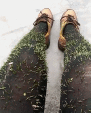 幽幽子吃瓜gif,揭秘网络红人的日常趣味瞬间