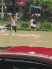 幽幽子吃瓜gif,揭秘网络红人的日常趣味瞬间  第2张