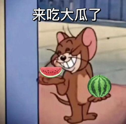 吃瓜大佬 第2张 吃瓜大佬 第2张