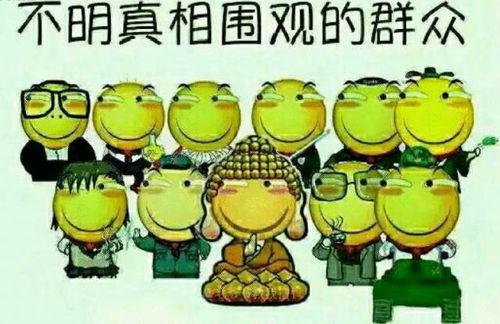 琴房吃瓜群众  第3张