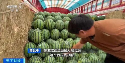 遂昌教师吃瓜事件