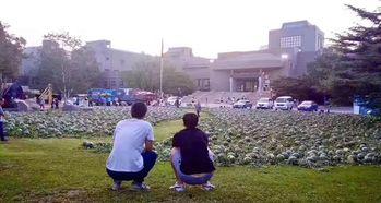 遂昌教师吃瓜事件  第3张