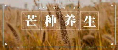 吃瓜芒种  第1张