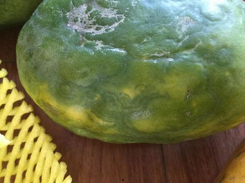 绿色小圆瓜怎么吃