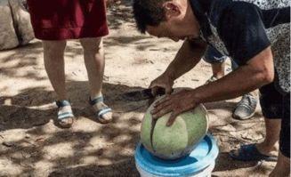 街头路人吃瓜,路人围观，吃瓜群众热议一幕  第3张