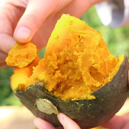 小蜜瓜天天吃吗,每日必备的健康甜蜜  第3张