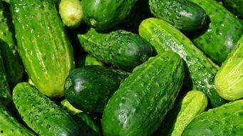 吃瓜不敢吃糖,揭秘“吃瓜不敢吃糖”背后的健康真相