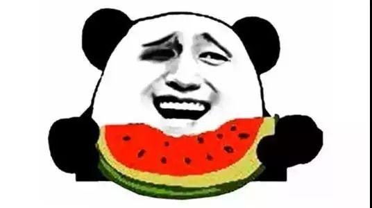 香草喵露露吃瓜,香草喵露露的瓜田奇遇记  第2张