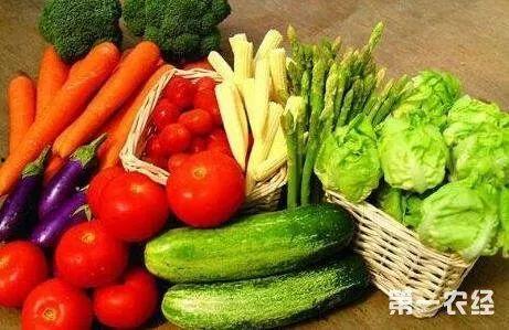 呆瓜解说吃美食,趣味解说带你领略人间美味  第3张