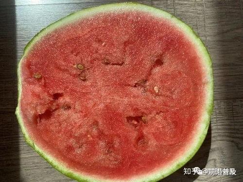 山海系列腮红吃瓜,腮红吃瓜，探寻神秘山海之美  第3张